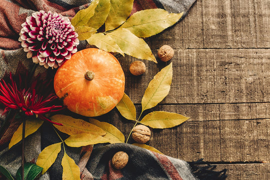 happy halloween or thanksgiving flat lay. pumpkin with leaves and walnuts and dahlias on stylish scarf top view, space for text. seasonal greetings, autumn fall holidays. harvest time. cozy mood