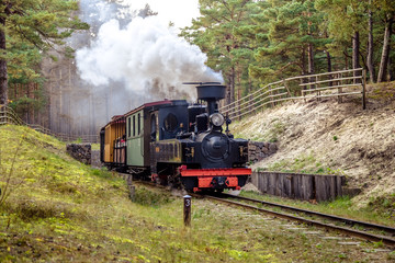 Fototapeta na wymiar Train on a narrow-gauge railway