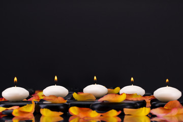 Spa. White candles and rose petals on a black background.