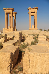 Fototapeta premium The ruins of the ancient city Palmyra, Syria