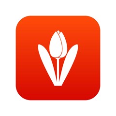 Tulip icon digital red