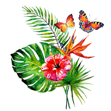 beautiful tropical palm leaves and flowers, watercolor