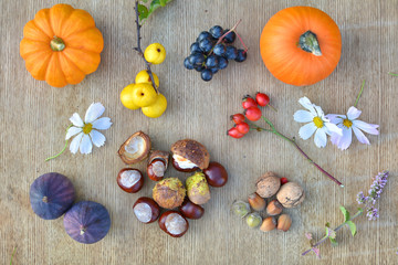 Autumn nature background with fruits and chestnuts