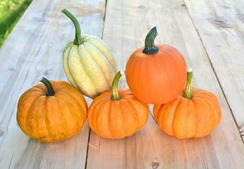 Pumpkins and squashes