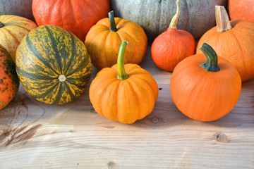 Various kinds of pumpkins