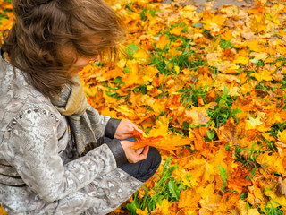 Beautiful woman in coat in the Park collects maple leaves. Woman collecting autumn leaves.
