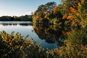 pond and colorful trees in autumn