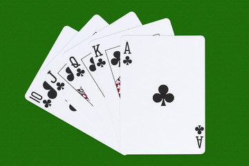 oyal flush clubs flourish