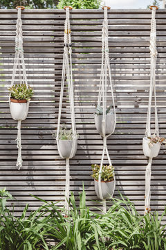 Row of hanging macrame plant holders