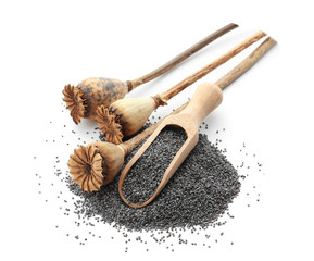 Poppy seeds, dried pods and wooden scoop on white background