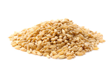 Pile of wheat grass seeds on white background