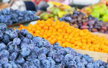 Assortment of fresh fruits at market