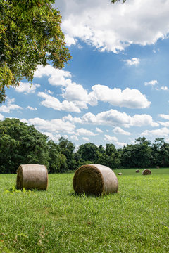 farmland - digital file