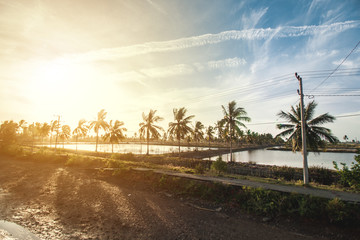 Beautiful Tropical Sunset