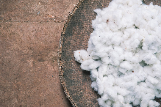 Cotton