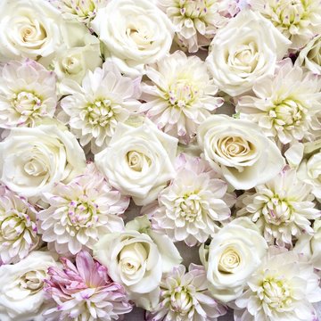 Frame-filled pink and white roses and dahlia flowers