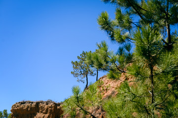 Peaceful coastal sunshine beach with hillside over ocean view natural background. Sunny dream holiday destination