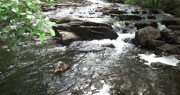 Scenic stream in Acadia National Park