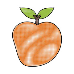 Delicios apple fruit icon vector illustration graphic design