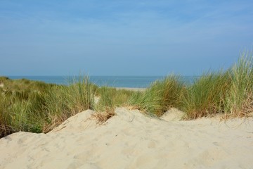 In der Mitte von Sanddünen an der Nordsee   mit dem Meer im Hintergrund