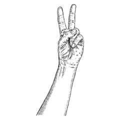 Man hand gesture. Pointing up V or Victory male fingers. Hand drawn sketch, black isolated on white background. Boy V sign hand. Vector.