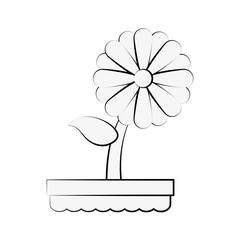 Cute sunflower gardening icon vector illustration graphic design