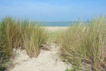 Blick durch Sanddünen zum Meer an der Nordseeküste in den Niederlande