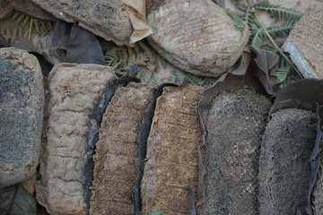 Cheese with goat's milk and cow