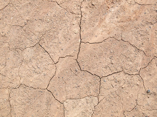 Barren ground horizontal