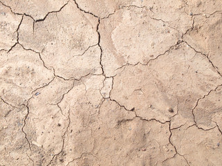 Barren ground horizontal