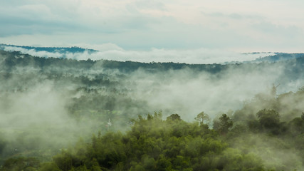Mountains with trees and fog in thailand