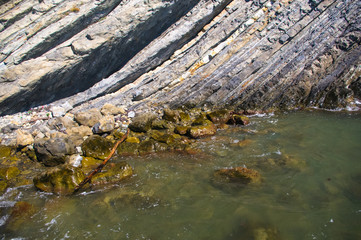 rocky sea shore with with seaweed, waves with foam