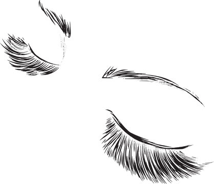 Beautiful woman closed eyes with long eyelashes Vector illustration