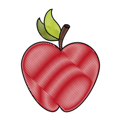 Apple delicious fruit icon vector illustration graphic design