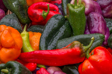 Colorful organic peppers for sale at local farmers market