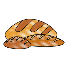 Delicious breads foods icon vector illustration graphic design