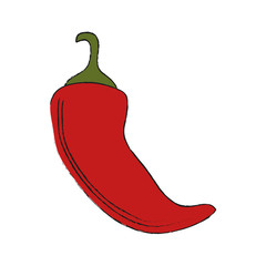 Chilli hot vegetable icon vector illustration graphic design