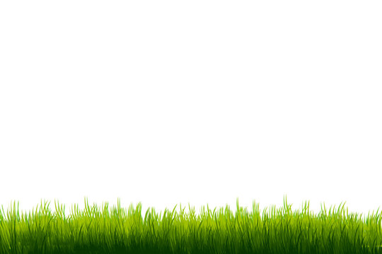 Grass on white copy-space background template
