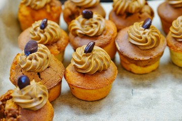 Mini coffee cupcakes with a coffee bean and coffee frosting