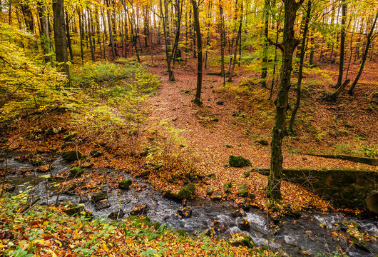brook in autumn forest on hillside. beautiful nature scenery
