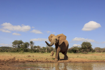 Fototapety na wymiar - Fototapeta24.pl