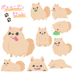 ポメラニアンセット