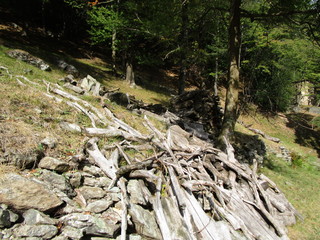 natura