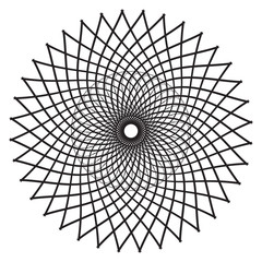 Obraz premium Artistic Circular Mandala Pattern Design