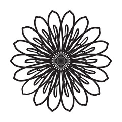 Obraz premium Floral Graphic Line Art Design in black color and isolated white background