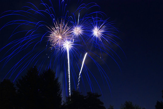 Streaks of blue fireworks light up the night sky on 4th of July behind silhouetted trees in a long exposure image