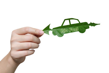Handle leaves the car biofuel image  eco concept