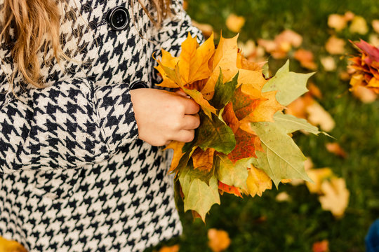 Kids play in autumn park. Fall foliage.autumn mood. Toddler kid or preschooler child in fall.Autumn leaves in girl hands,Bright yellow autumn leaves in the hands .Copy space