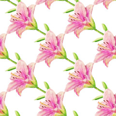 Seamless pattern with pink lily