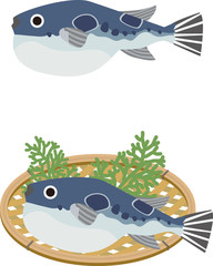 フグ © 往子 山本